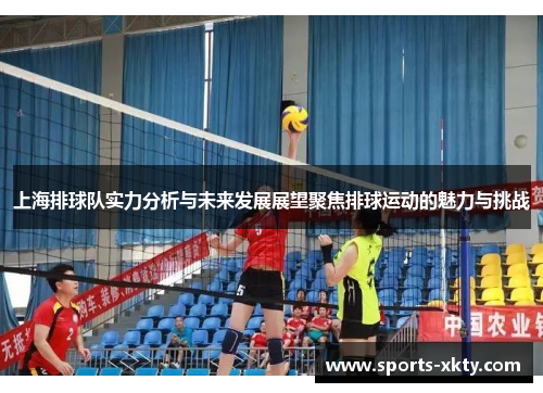 上海排球队实力分析与未来发展展望聚焦排球运动的魅力与挑战